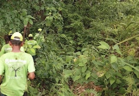 is 8 billion trees legitimate|Iba pa.